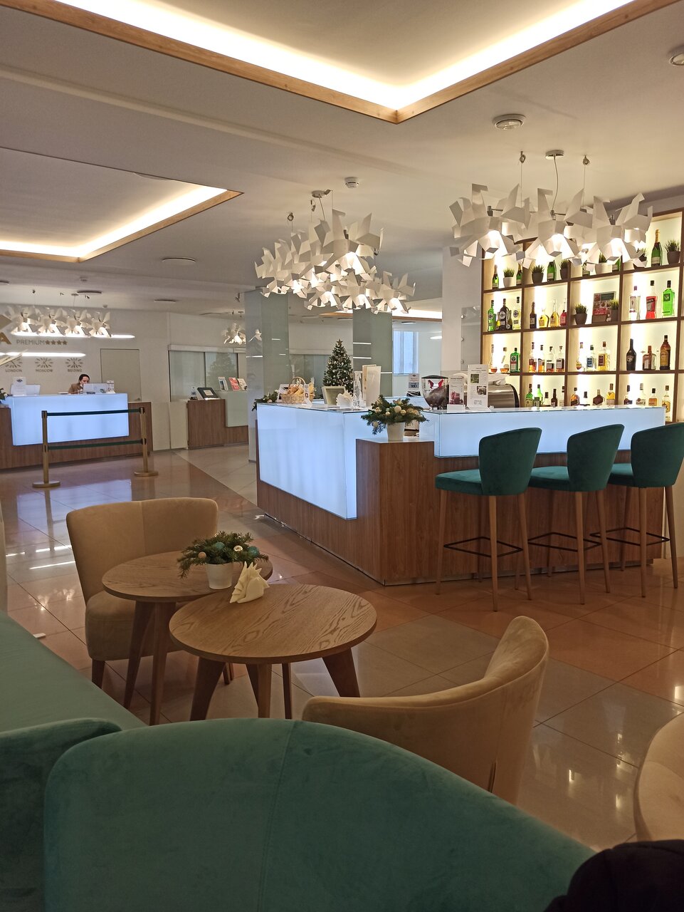 Гостиница Гранд Отель ОКА Премиум Нижний Новгород-96