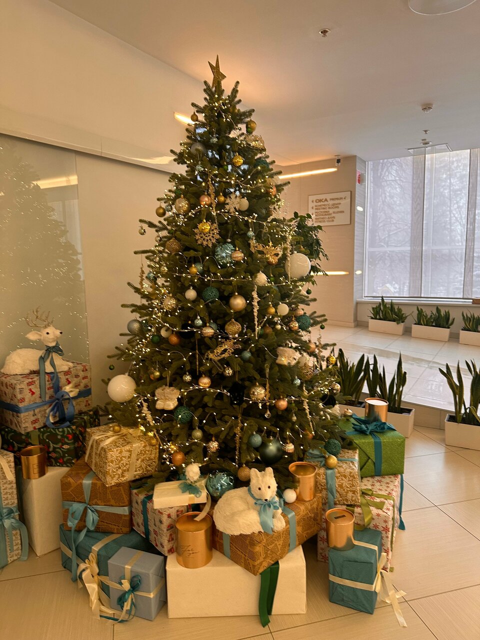 Гостиница Гранд Отель ОКА Премиум Нижний Новгород-227